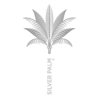 silver palm